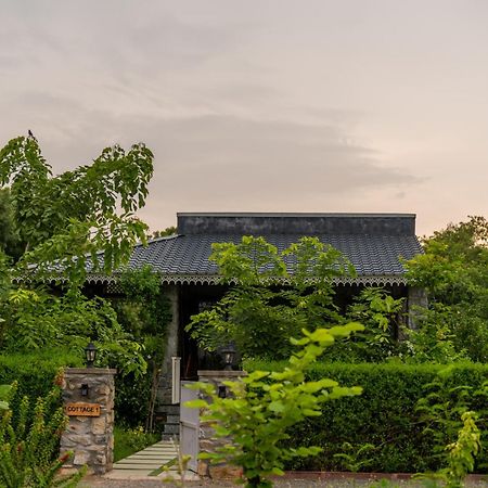 Jawai Greens Jawai Bandh Exteriör bild