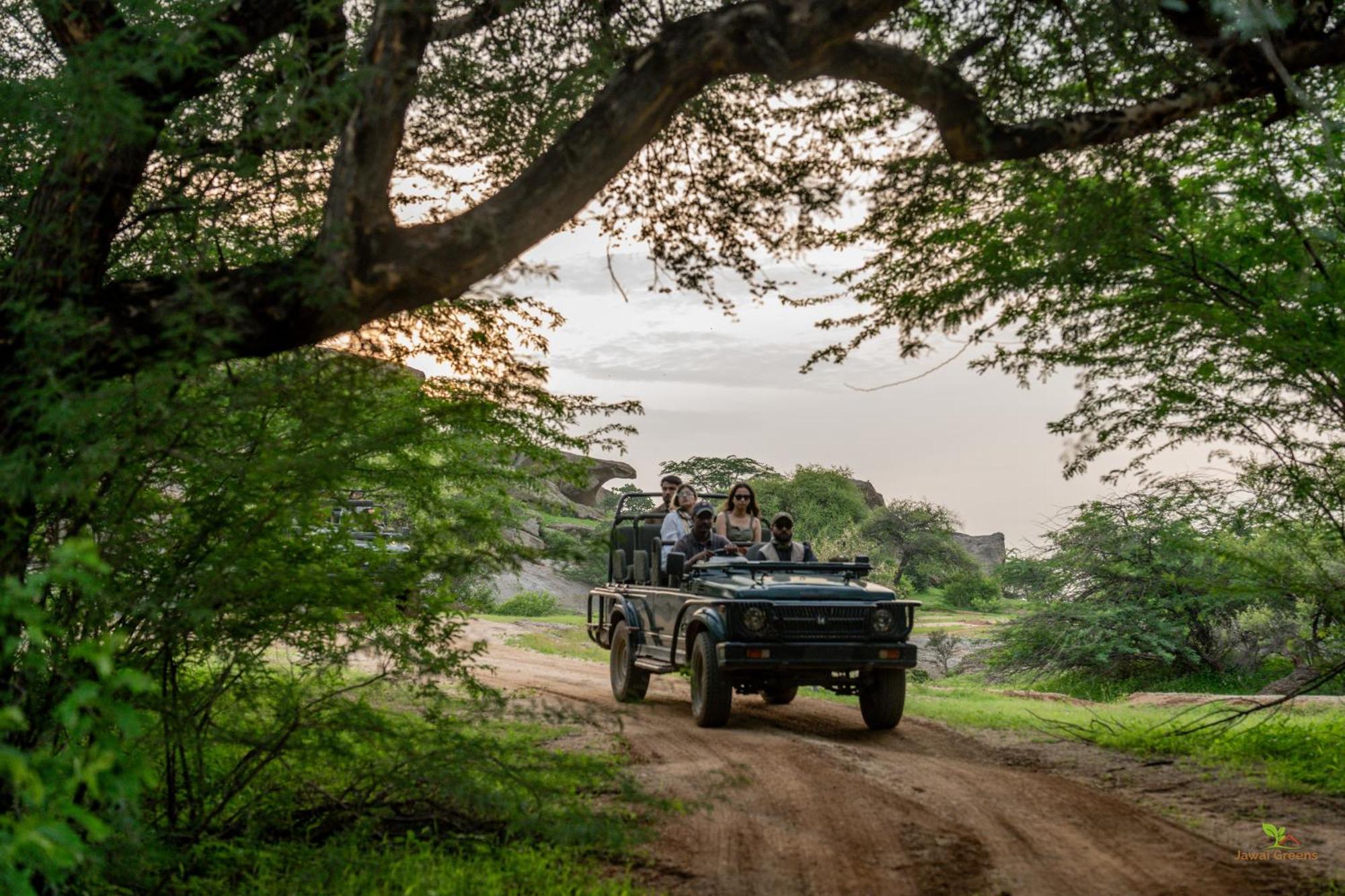 Jawai Greens Jawai Bandh Exteriör bild
