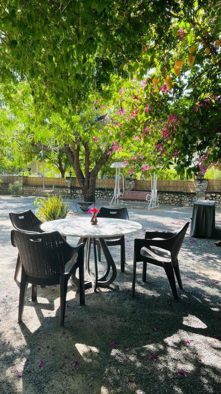Jawai Greens Jawai Bandh Exteriör bild