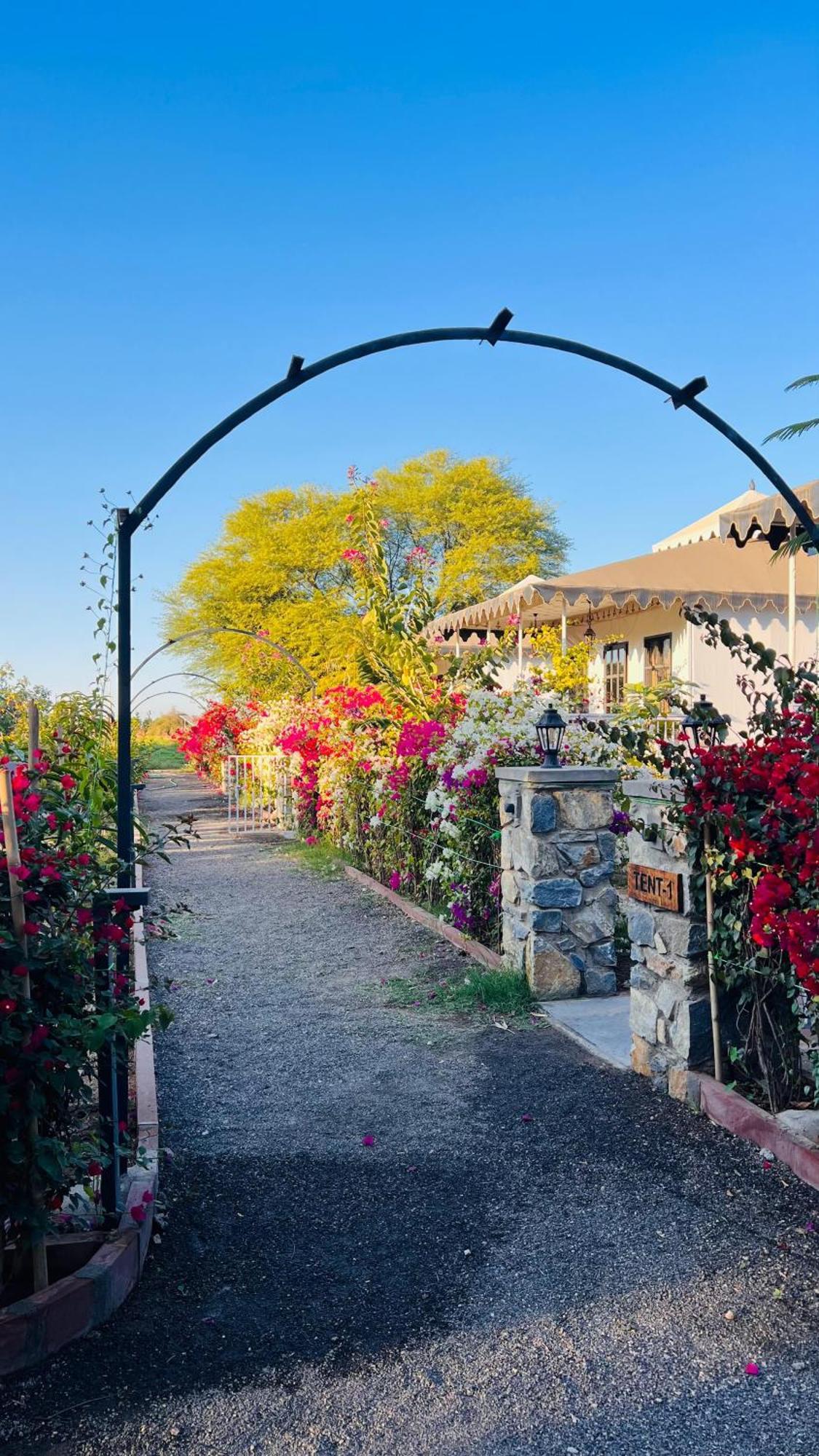 Jawai Greens Jawai Bandh Exteriör bild